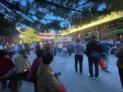 -普陀山慧济禅寺