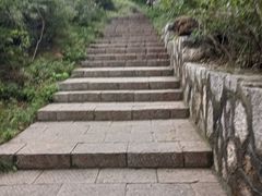 -佛慧山