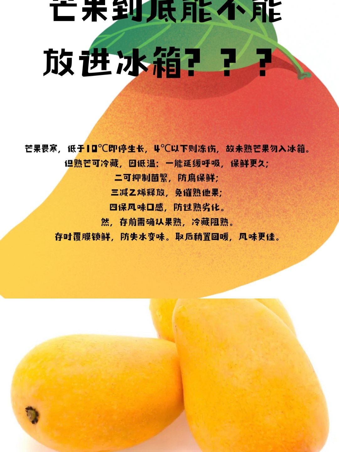 芒果到底能不能放进冰箱