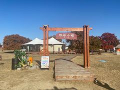 -五角枫生态旅游景区