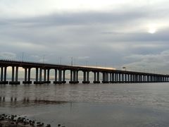 -宝安西湾红树林湿地公园