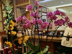 -洋洋中餐馆·SINCE 1997(信投店)