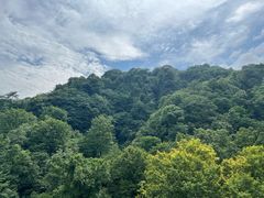 -青城山