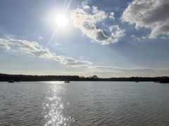 -上海海湾国家森林公园