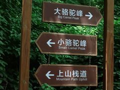 -大岭沟猕猴桃谷风景区