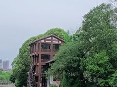 -成都市活水公园