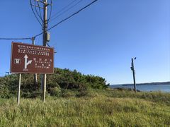 -涉地可支