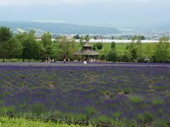 -富田农场