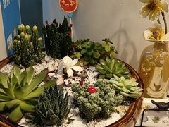 -九秋茶铺(三里屯店)