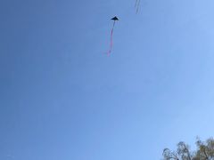 -城一锅涮烤羊蝎子·烤串