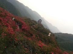 -大围山峡谷漂流