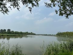 -野鸭湖国家湿地公园