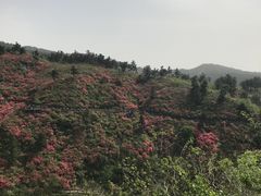 -木兰云雾山