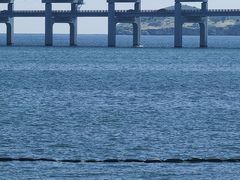 -星海湾跨海大桥