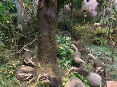 -陕西自然博物馆