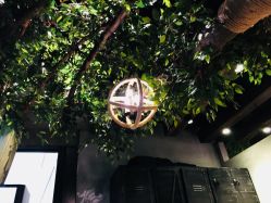 -V-STAR威斯达•高级私人定制