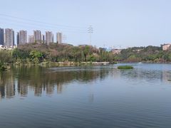 -重庆彩云湖湿地公园