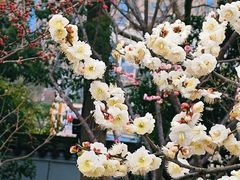 -无锡梅园公园