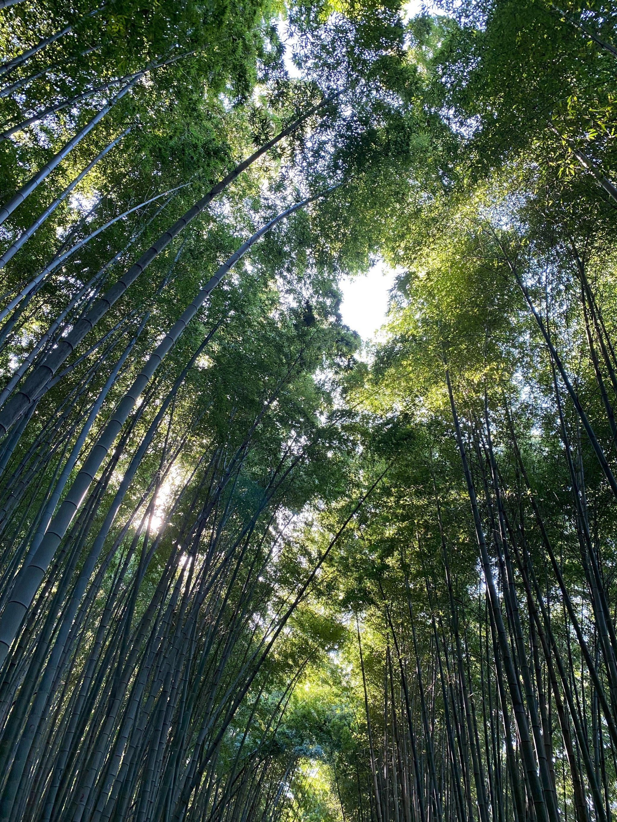 曲径通幽的山间路