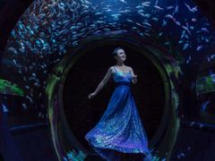 -成都浩海立方海洋公园