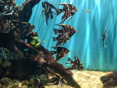 -海合安武汉极地海洋公园