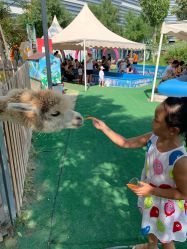 -萌宠亲子动物乐园(槐房万达店)