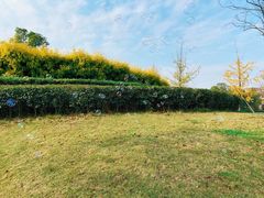 -两河城市森林公园