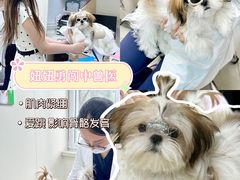 -美联众合动物医院·24h京西诊疗中心