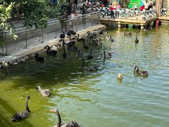 -深圳野生动物园