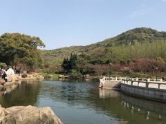 -白马涧龙池景区