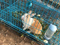 -美家乐农庄·露营·团建(大治路店)