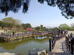 -鬼笑石后山停车场
