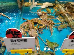 -必点海鲜·鲅鱼水饺(鞍山西道店)