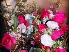 -双季花艺园艺市场(浦东店)