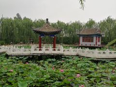-纪晓岚文化园