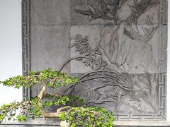 -个园