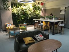 -引领英语·成人口语·雅思托福