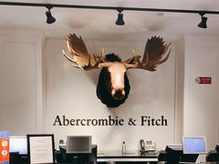 -Abercrombie & Fitch(三里屯太古里店)
