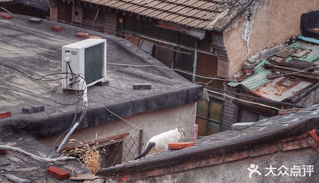 屋顶咖啡店很多，这家与文物近在咫尺
