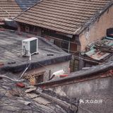 屋顶咖啡店很多，这家与文物近在咫尺