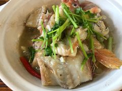 生蚝斑块煲-猪肉婆私房菜(容桂总店)