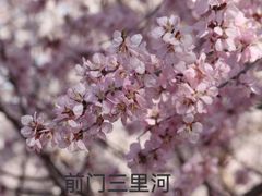 -三里河公园
