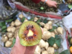 -双龙商场(环城南路店)