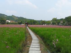 -红山村