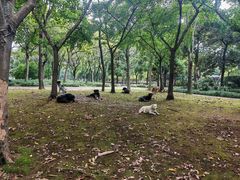 -长广溪湿地公园