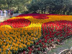 -上海共青森林公园