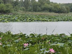 -时间仓(月湖公园店)