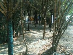 -勇士之星真人CS·团建·拓展(清水河公园店)