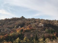 -白水寺森林公园