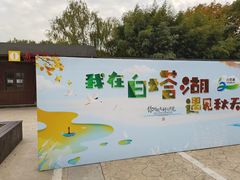 -白塔湖国家湿地公园